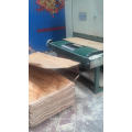 plywood board/commercial plywood